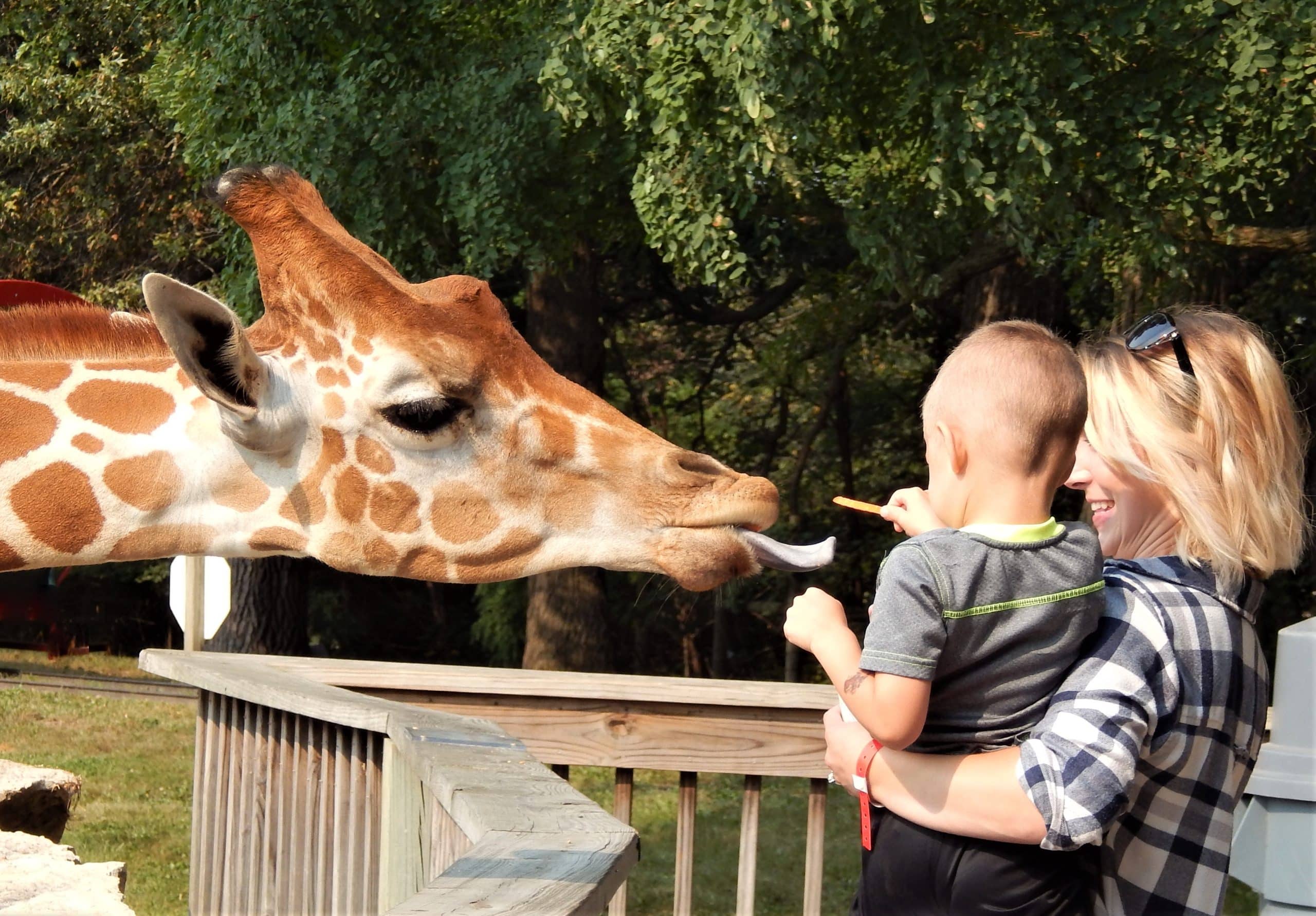 Timbavati Wildlife Park