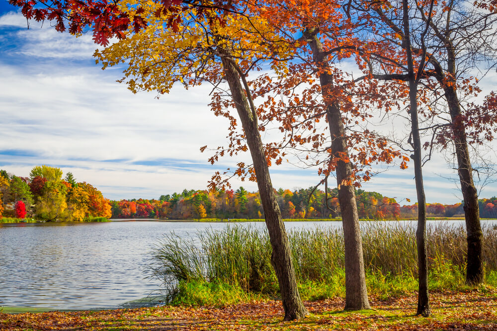 View of fall foliage in Wisconsin Dells nature trail