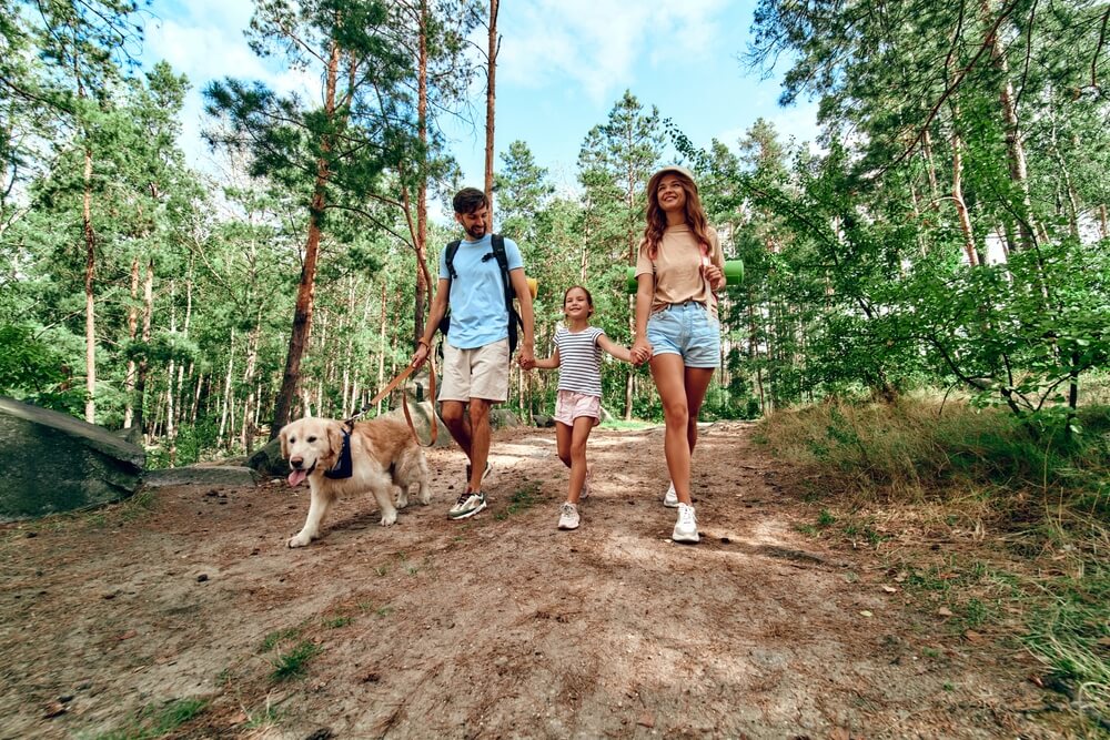 Family hiking with dog during a pet-friendly Wisconsin Dells vacation